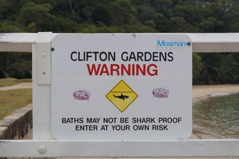 Swim at your own risk